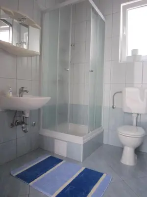 Kupaonica u objektu Apartments Milic