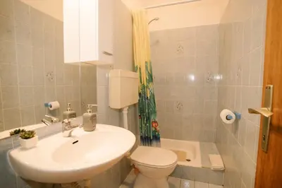 Kupaonica u objektu Apartments Petri
