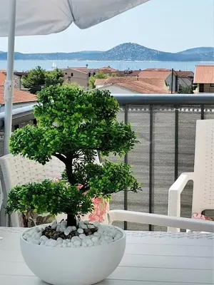 Priroda u blizini apartmana