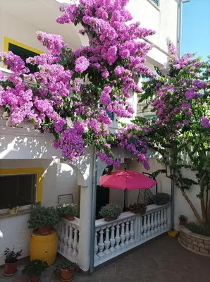 Vrt u objektu Apartments Vodice Marica