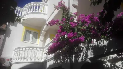 Balkon ili terasa u objektu Apartments Vodice Marica
