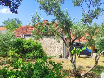 Vrt u objektu Aldos House