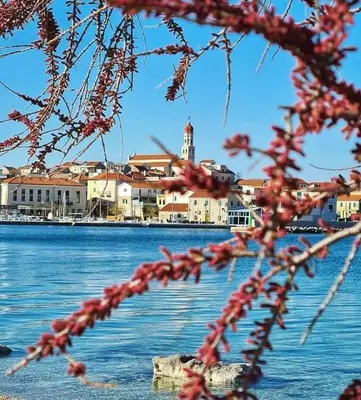Pogled na rijeku u blizini privatnih smještaja
