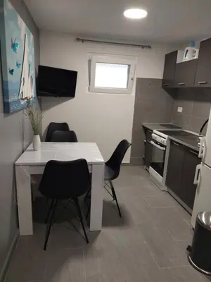 Kuhinja ili čajna kuhinja u objektu Apartman Karla