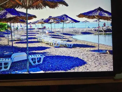 Priroda u blizini apartmana