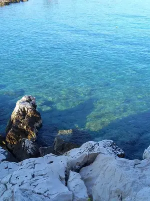 Priroda u blizini apartmana