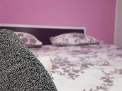 Krevet ili kreveti u jedinici u objektu Apartmani Milutin