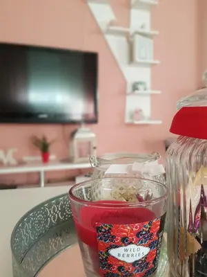 Pića u objektu Apartmani Milutin