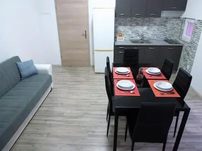 Kuhinja ili čajna kuhinja u objektu Apartmani Slavica