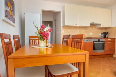Kuhinja ili čajna kuhinja u objektu Apartmani Meić Pirovac