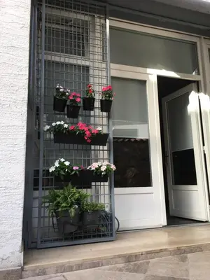 Fasada ili ulaz u objekt Visiani apartment