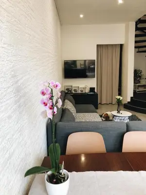 TV i/ili zabavni centar u objektu Visiani apartment