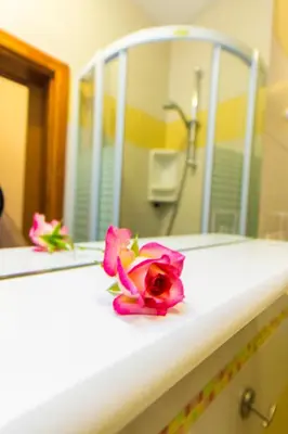 Kupaonica u objektu Apartments Srdarev Pencov