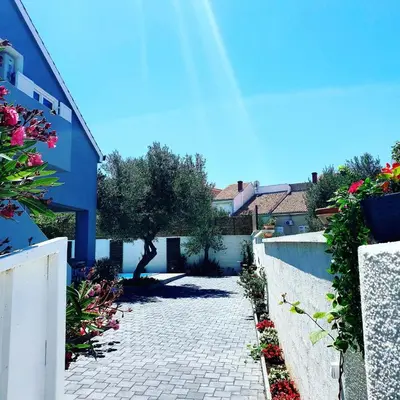 Vrt u objektu Vila Ena