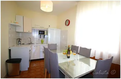 Kuhinja ili čajna kuhinja u objektu APARTMAN SMOLJIC 4+2