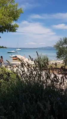 Priroda u blizini apartmana