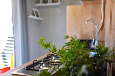 Kuhinja ili čajna kuhinja u objektu Mobile home Laura