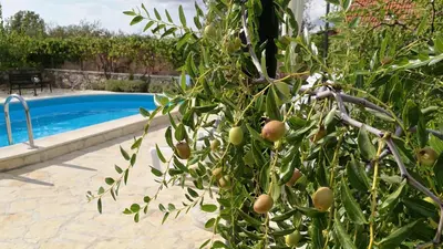 Bazen u objektu Holiday House Pod Suncem ili u blizini
