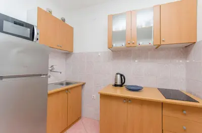 Kuhinja ili čajna kuhinja u objektu Apartments Danica