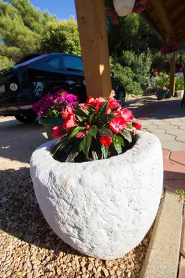 Vrt u objektu Apartmani Vesna
