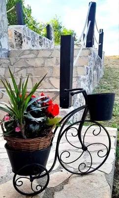 Vrt u objektu Holiday home Villa Juli