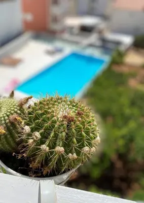 Bazen u objektu Eco-friendly Estate I ili u blizini