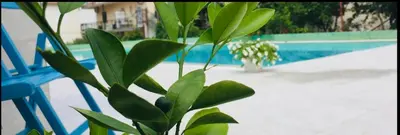Bazen u objektu Eco-friendly Estate I ili u blizini