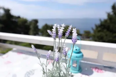 Priroda u blizini apartmana