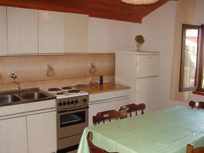 Kuhinja ili čajna kuhinja u objektu Apartments Dragan