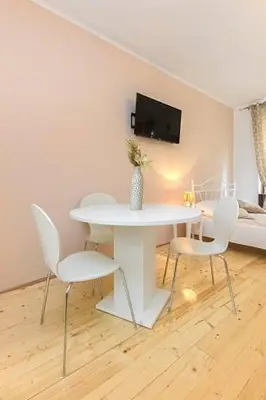 TV i/ili zabavni centar u objektu Sibenik Antique Studio Apartment - old town