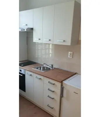Kuhinja ili čajna kuhinja u objektu Studio apartman, 2+1