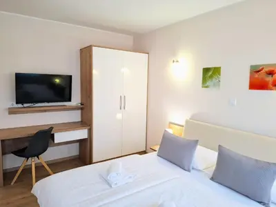 TV i/ili zabavni centar u objektu Guest House Ankora