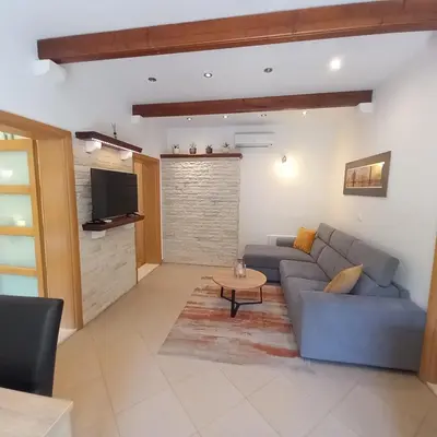 TV i/ili zabavni centar u objektu Guest House Ankora