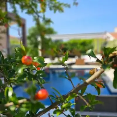Apartmani Nika
