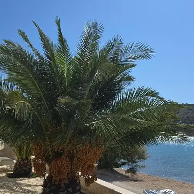 VILA KIKA