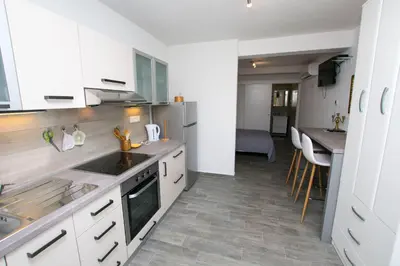 Kuhinja ili čajna kuhinja u objektu Apartment Roje