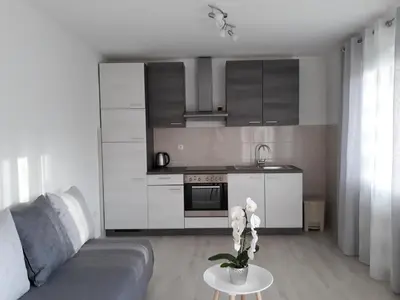 Kuhinja ili čajna kuhinja u objektu Apartment Star Danica***
