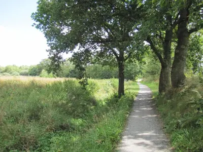 Priroda u blizini vila