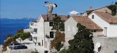 Priroda u blizini apartmana
