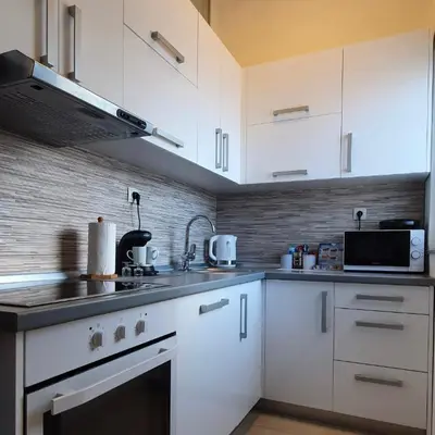 Kuhinja ili čajna kuhinja u objektu Apartment Fran