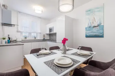 Kuhinja ili čajna kuhinja u objektu Luxury Apartment Joo & Joo