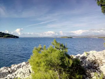 Priroda u blizini apartmana