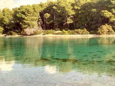 Priroda u blizini apartmana