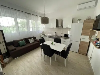 Kuhinja ili čajna kuhinja u objektu Apartman Mira