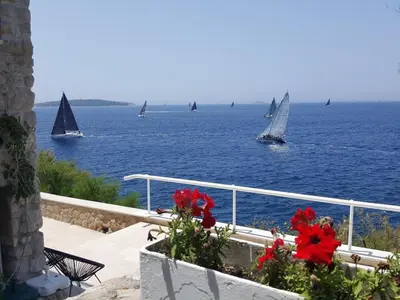 Priroda u blizini apartmana