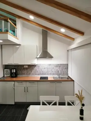 Kuhinja ili čajna kuhinja u objektu Apartman Elana