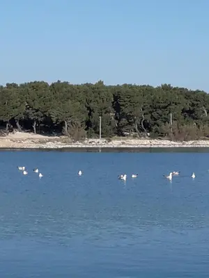 Priroda u blizini apartmana