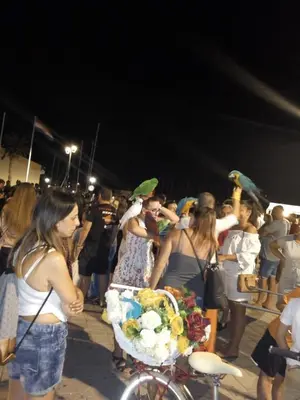Gosti u objektu Mladen Vodice