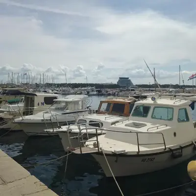 Mladen Vodice