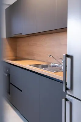 Kuhinja ili čajna kuhinja u objektu Apartman Danijela